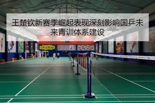王楚钦新赛季崛起表现深刻影响国乒未来青训体系建设